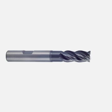 GMF61924