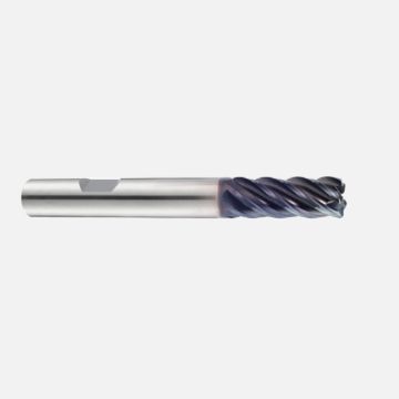 GMG31100